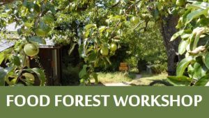 food-forest-workshop-web