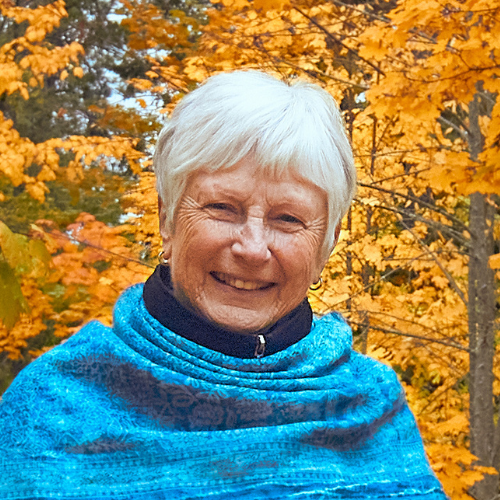Swami Satyananda outside fall