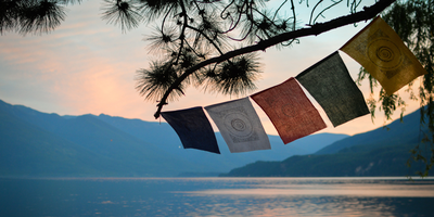 Elevating, a Vancouver workshop with Swami Lalitananda