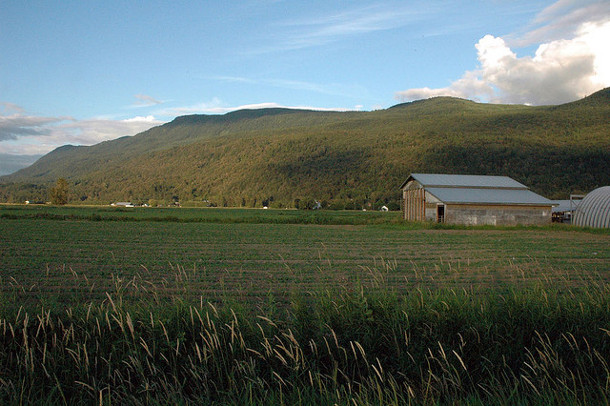 Farmland photo near Chilliwack by Pete, Creative Commons licensed.